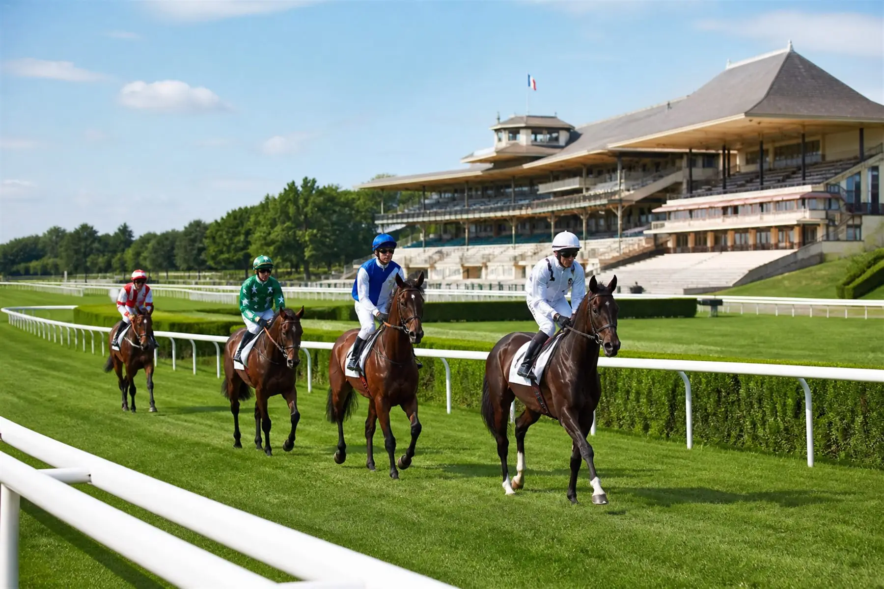 Chevaux de course à l’entraînement sur un hippodrome français